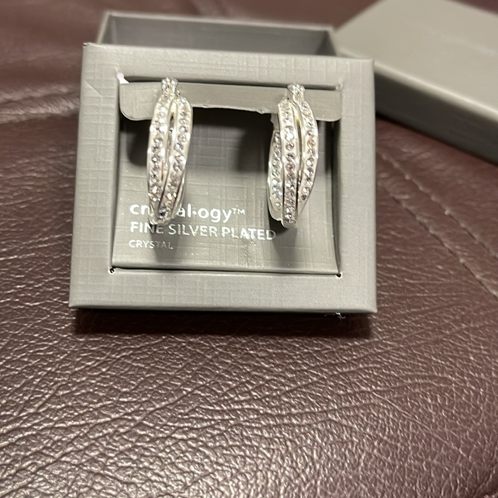 Beautiful Crystal-ogy hoop earrings